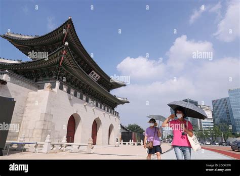 경기도 심야 드라이브: 밤의 도로 위에서 찾은 자유와 사색